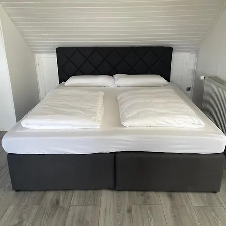 Panoramablick 1 * Sinsheim